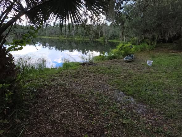 Mowed ground beside a Florida pond with palms and oak trees